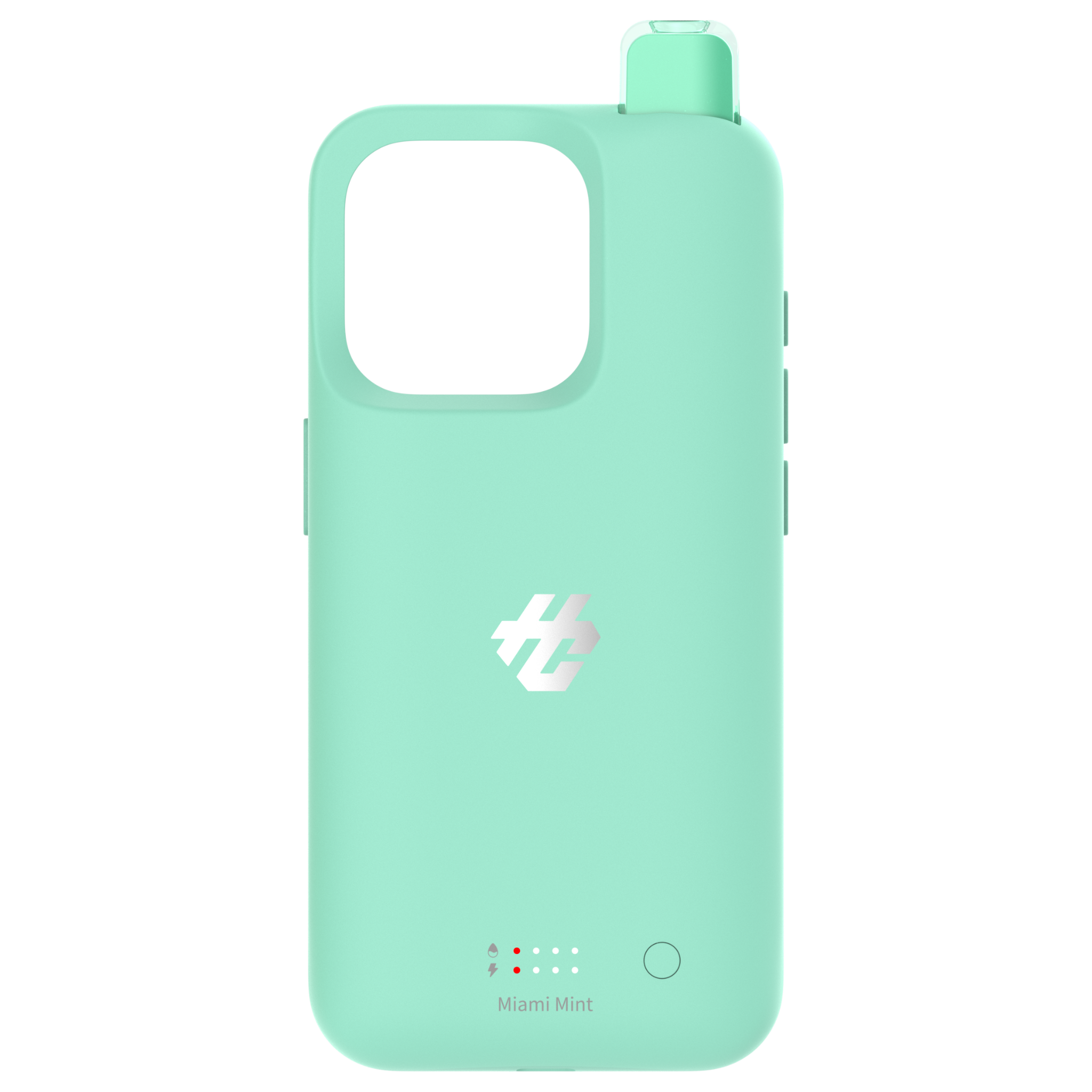 MENTA DE MIAMI